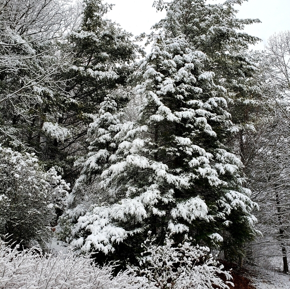 Meet your Posher, Andrea - Picture 1 of 1